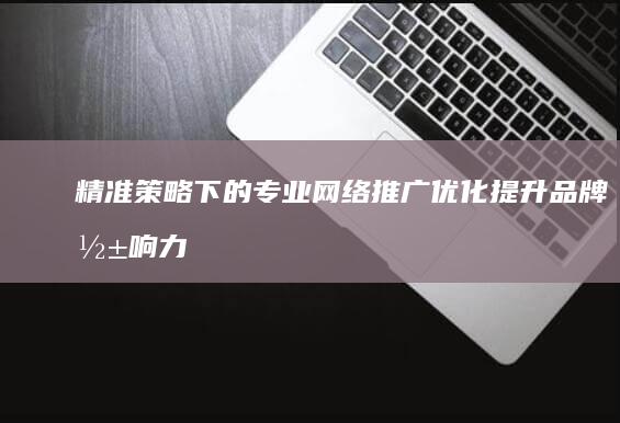 精准策略下的专业网络推广优化：提升品牌影响力的有效路径